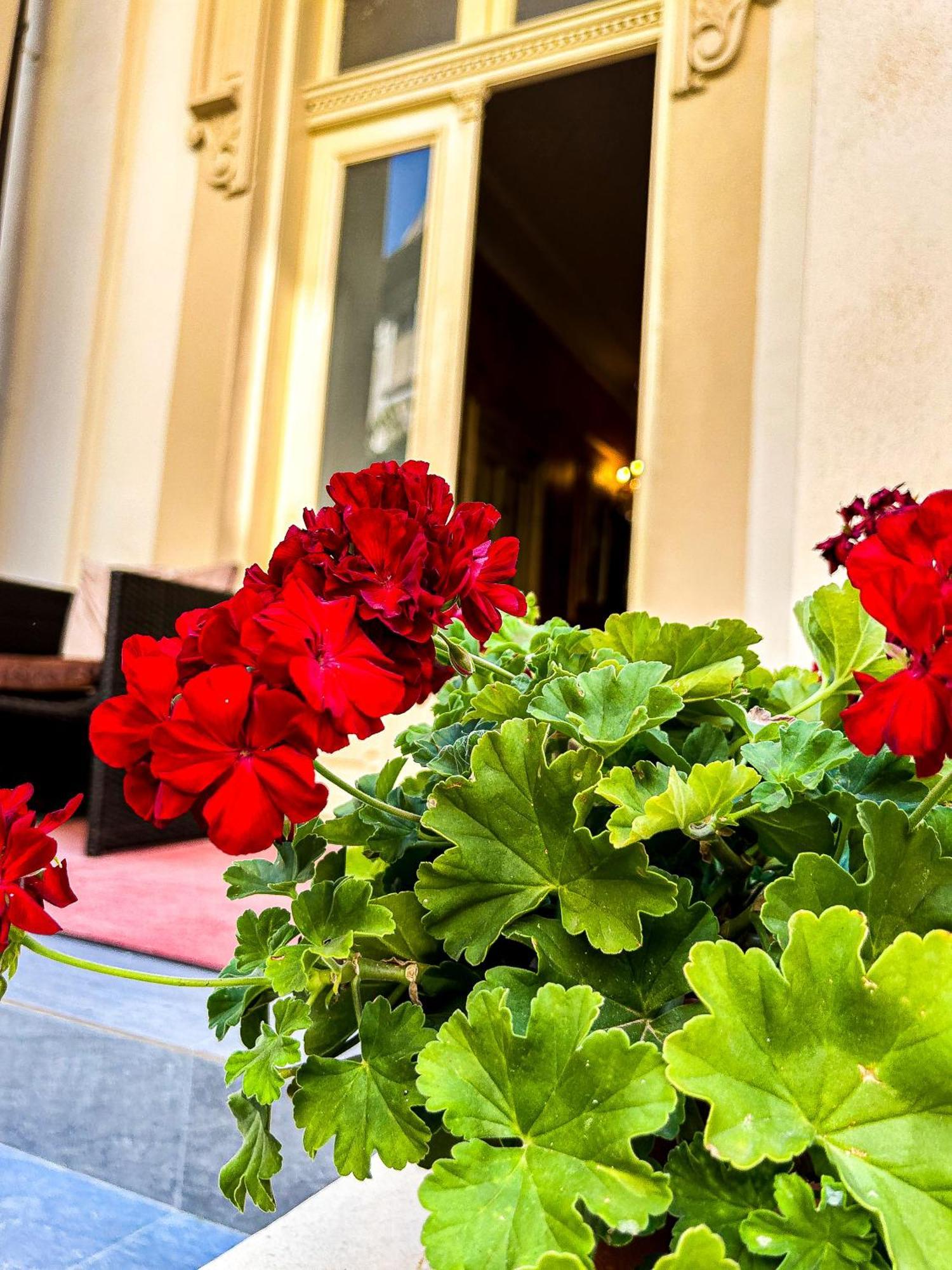 Hotel Boutique Casa Vermont Bucureşti Ngoại thất bức ảnh